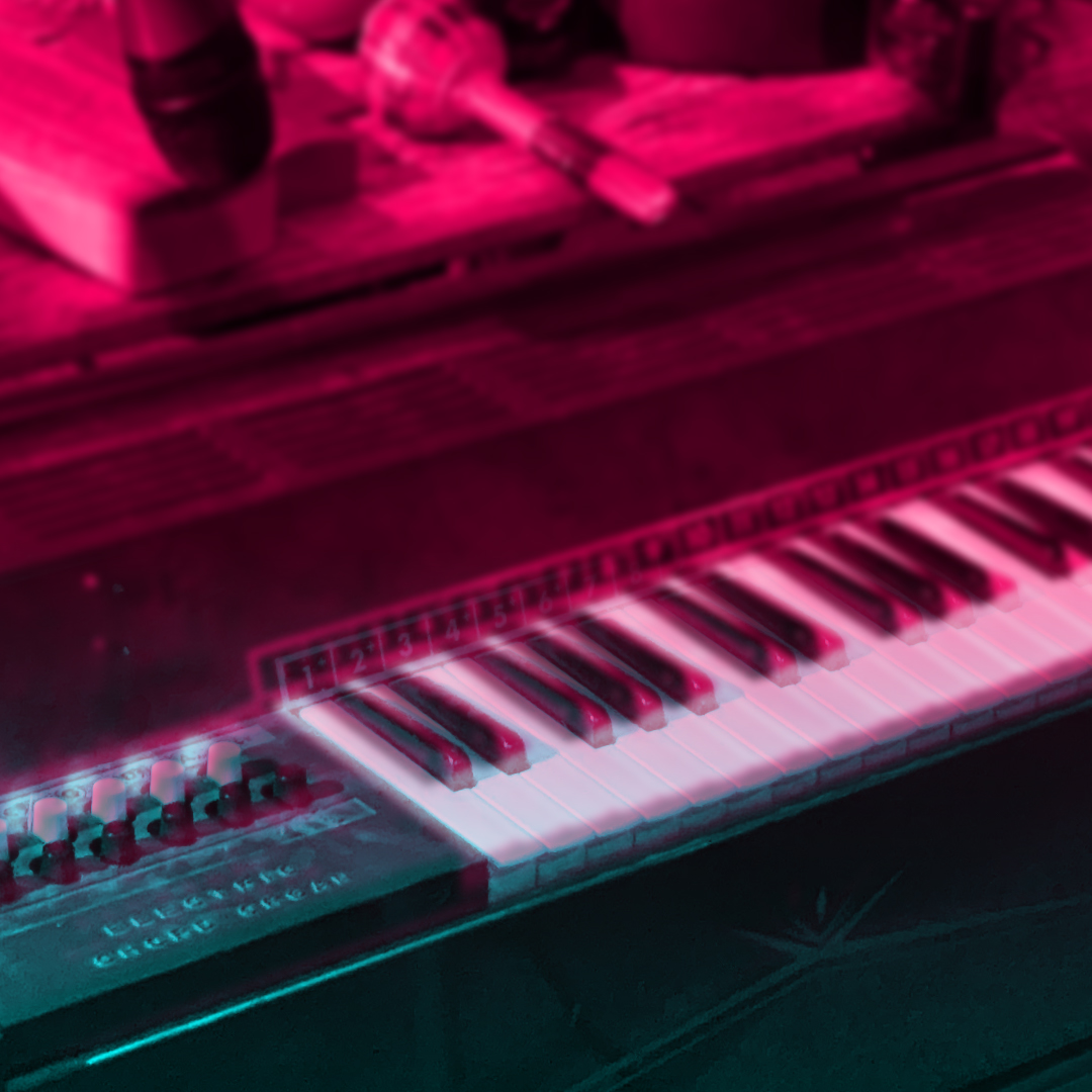 The Orchestra of Dying and Forgotten Musical Instruments